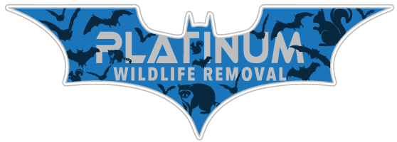 Wildlife Removal Lexington