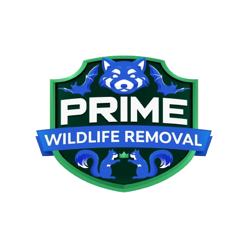Wildlife Removal Lexington